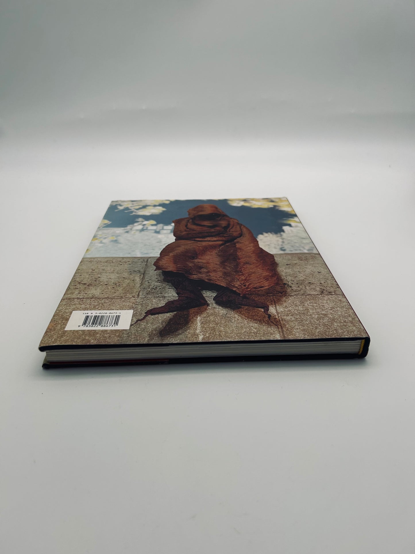 Livre Issey Miyake, editions Taschen