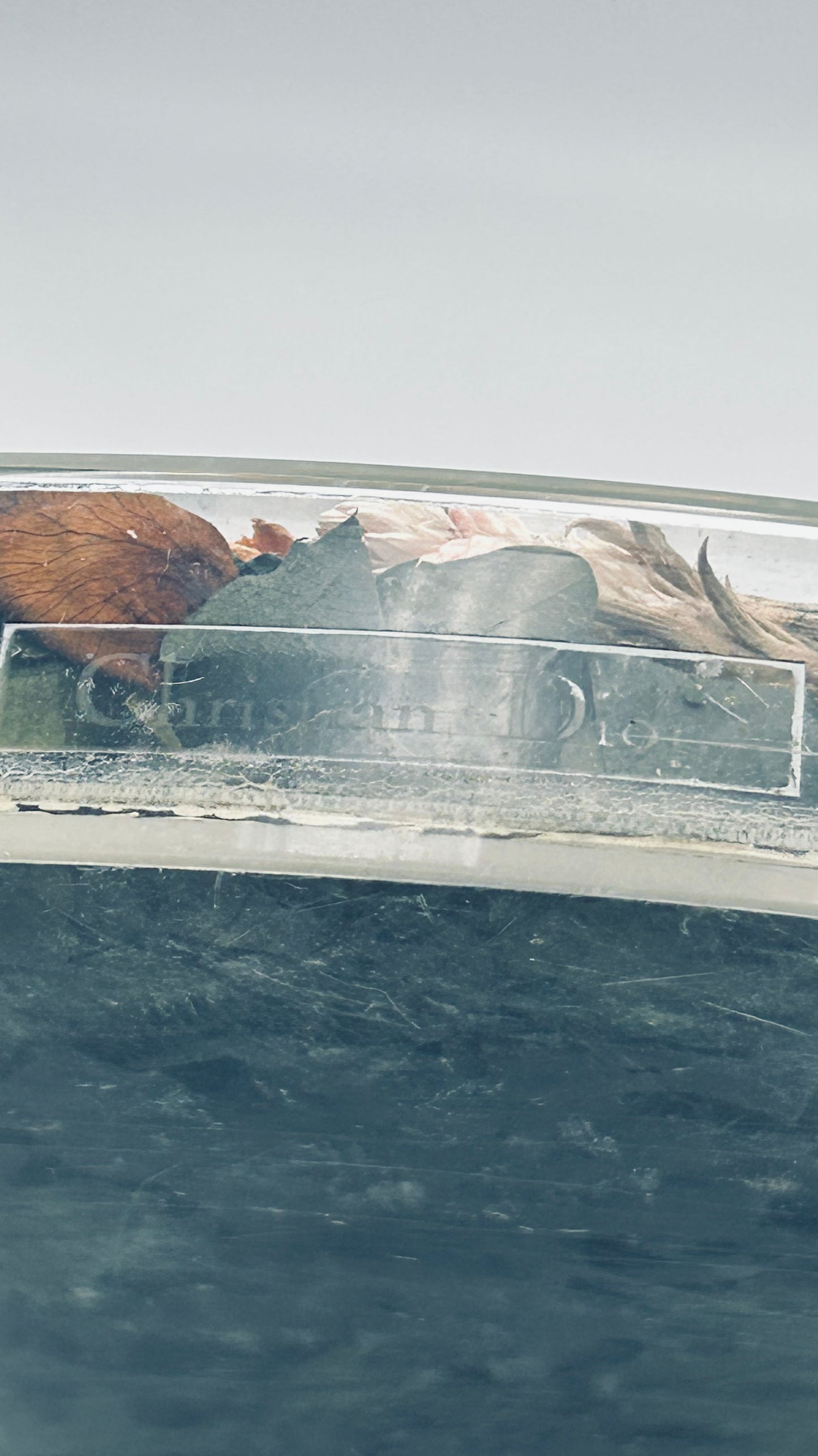 Plateau altuglass "Fleurs séchées", Maison Dior, 80s